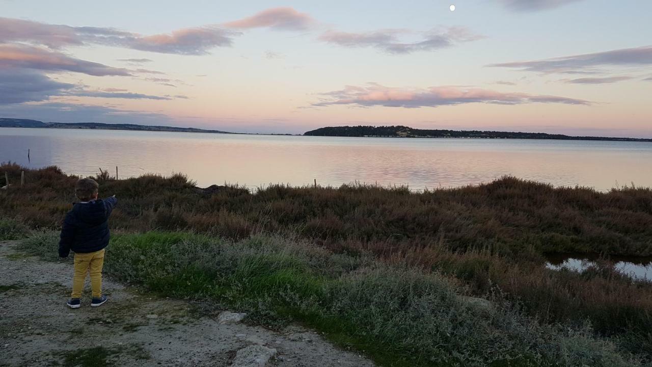 La Barbacane * Sigean